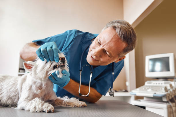 Best Pediatric Emergency Dentist in Grandview, OH